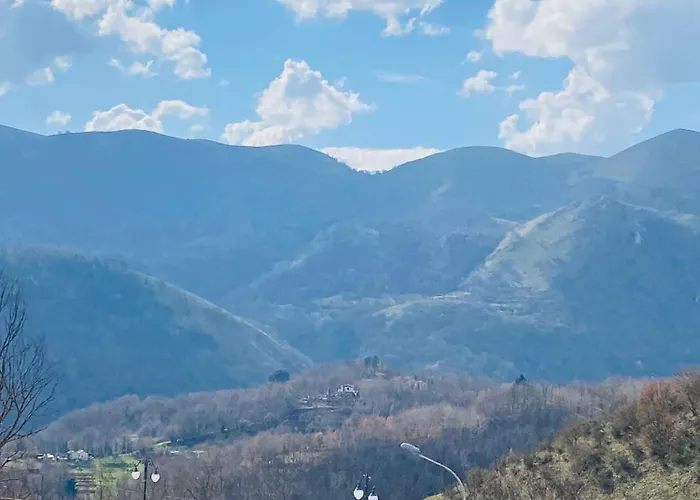 Il Tulipano Muro Lucano